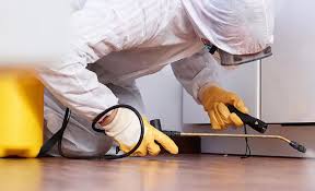 Best Pest Control for Multi-Family Homes  in Eggertsville, NY